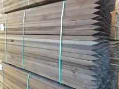 2 x 2 ACZA Treated Berry Stakes